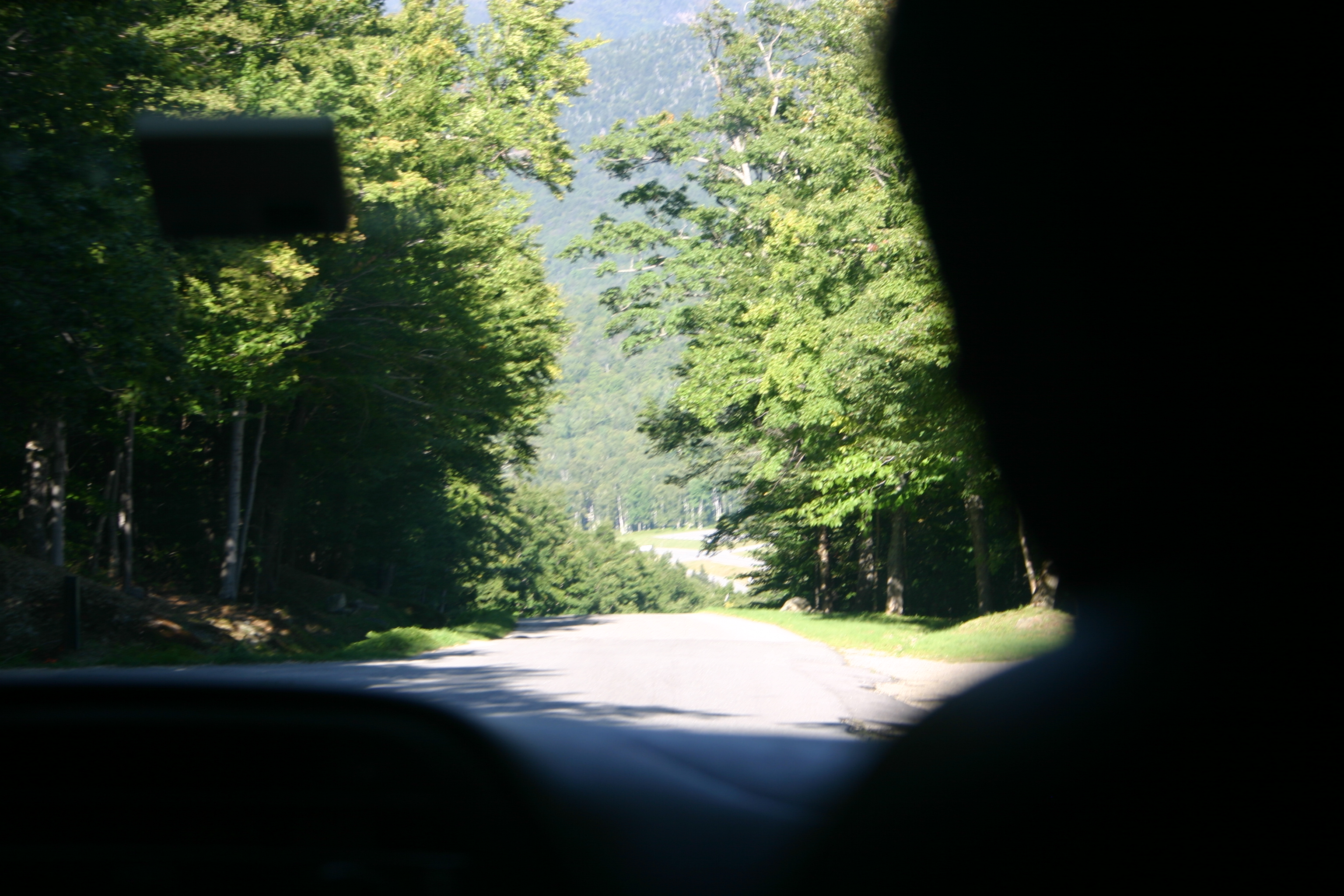 picture 96.